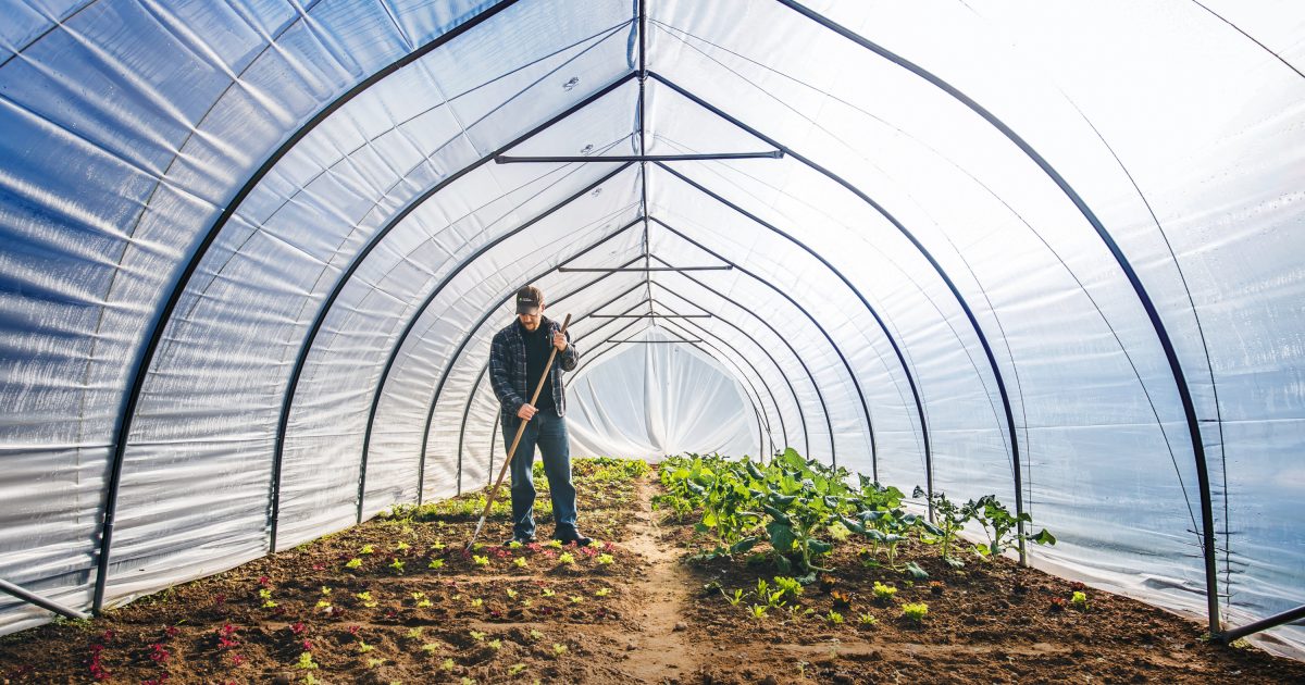 Caterpillar Tunnel Farmers Friend
