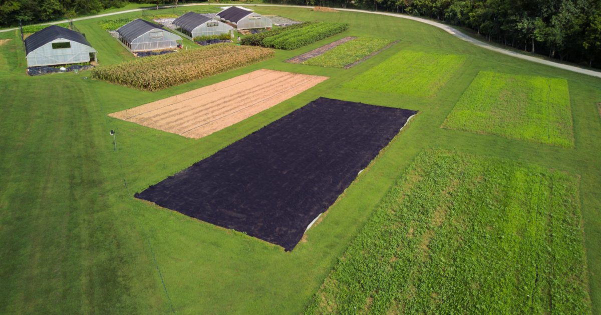 Black Gardening Tarp Fasci Garden